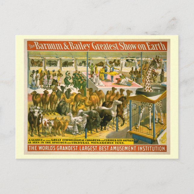 Barnum & Bailey Circus Poster Postkarte (Vorderseite)