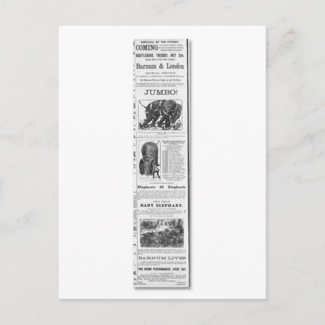 Barnum & London Moral Shows Ad Postkarte (Vorderseite)