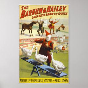 Barnum u. Bailey-Zirkus - circa 1900 Poster