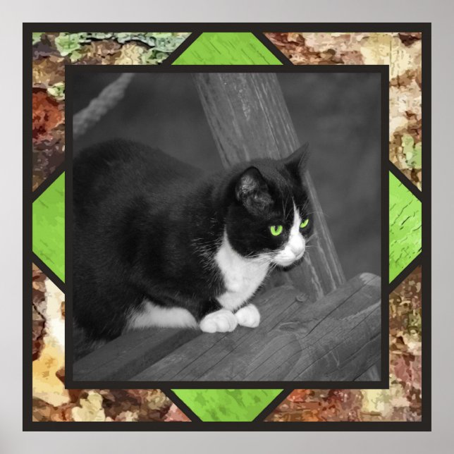 Barnyard Cat Poster (Vorne)