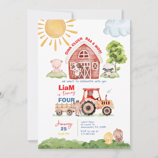 Barnyard jedes Alter Geburtstag Foto Einladung (Vorderseite)