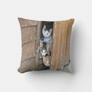 Barnyard Kittens Kissen