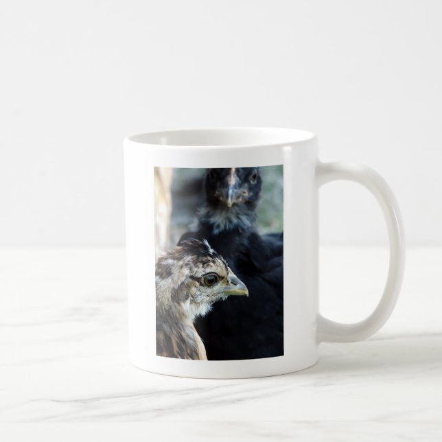 Barnyard Mixed Chicks Kaffeetasse (Rechts)