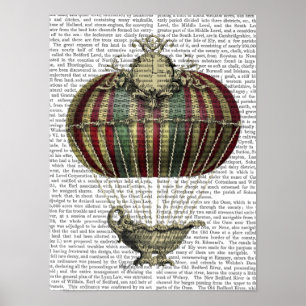 Barock Fantasy Balloon Poster