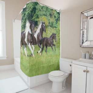 Barock Pinto Pferde Herde mit Niedlichem Foal Gall Duschvorhang
