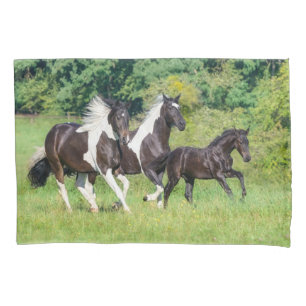 Barock Pinto Pferde Herde mit Niedlichem Foal Gall Kissenbezug