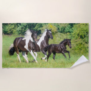 Barock Pinto Pferde Herde mit Niedlichem Foal Gall Strandtuch