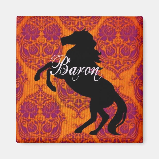 Baron Magnet (Vorne)