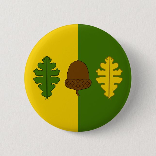 Barony of Wealdsmere Populace Abzeichen Button (Vorderseite)