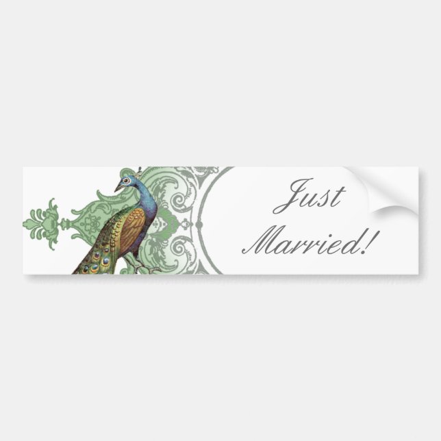 Baroque Peacock Just Married - aqublau Autoaufkleber (Vorne)