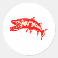 Barracuda Fisch #6