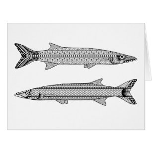 Barracuda Poisson Adult Coloration Big Card