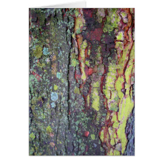Barre d'arbre