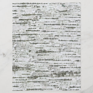 Barre de bouleau Papier Motif gris blanc