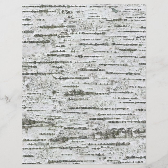 Barre de bouleau Papier Motif gris blanc (Devant)
