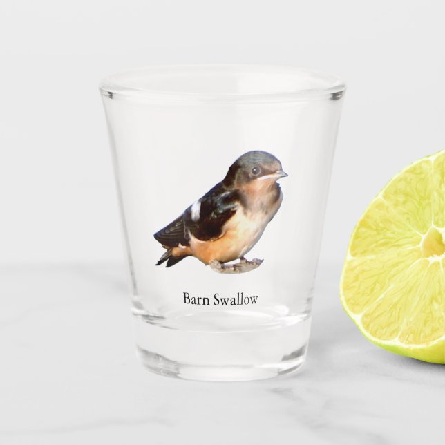 Barre Verre à grenaille Swallow (Devant)