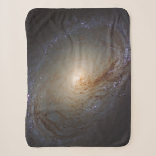 Barred Lenticular Galaxy Ngc 3368 Sherpadecke