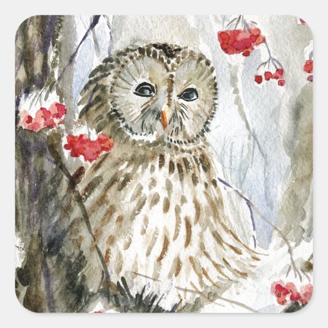 Barred Owl Aquarellmalerei Quadratischer Aufkleber (Vorderseite)