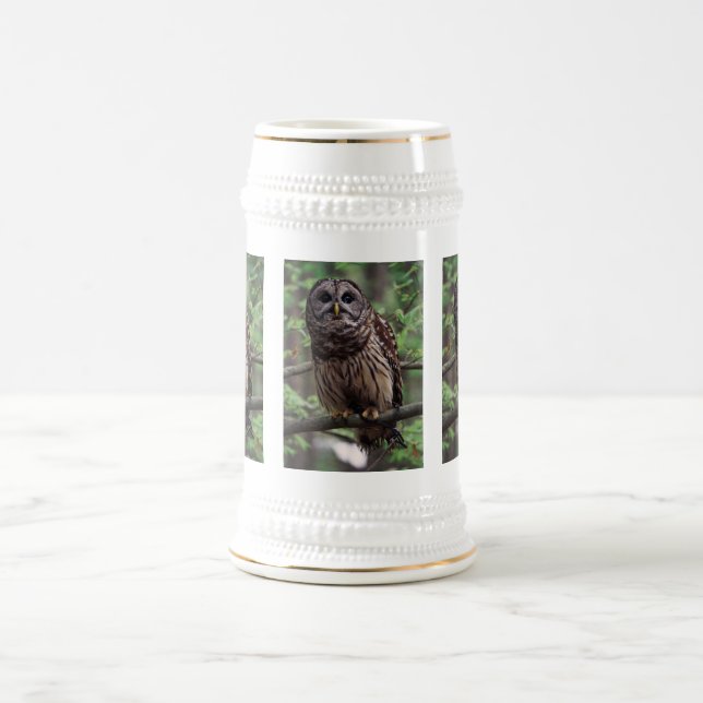 Barred Owl Bierglas (Mittel)