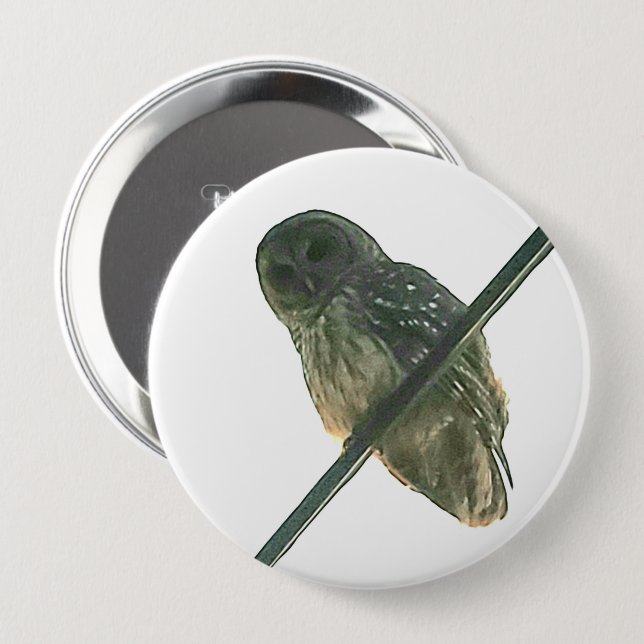 Barred Owl Button (Vorne & Hinten)