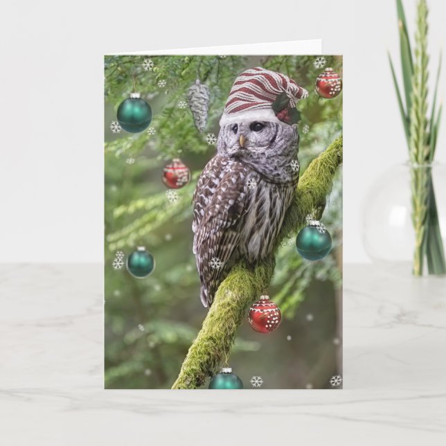 Barred Owl Christmas Feiertagskarte (Vorderseite)