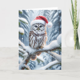 BARRED OWL CHRISTMAS - WILDLIFE FEIERTAGSKARTE