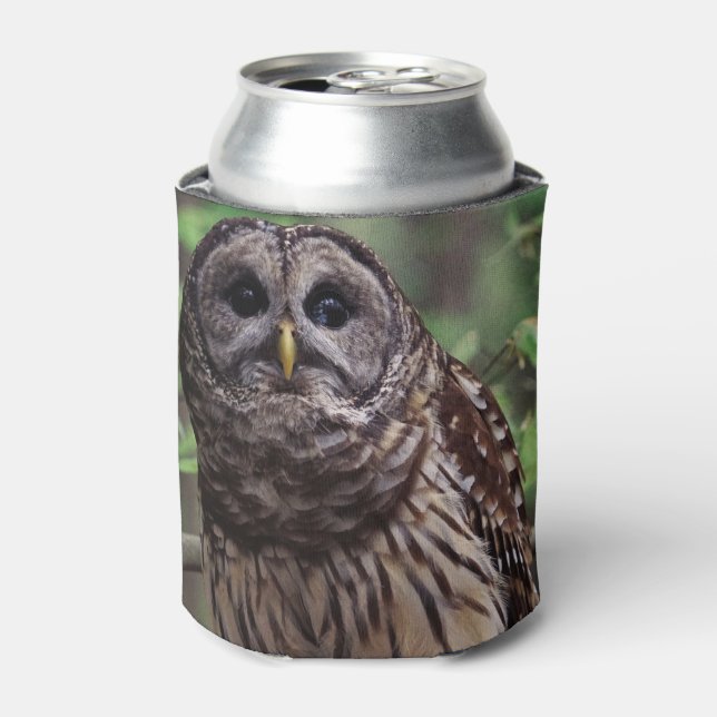 Barred Owl Dosenkühler (Kanne Vorderseite)