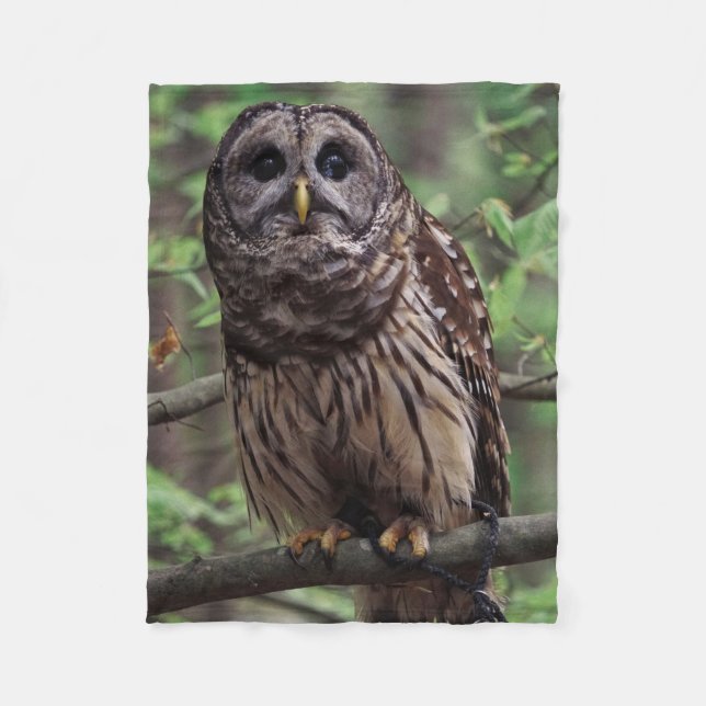 Barred Owl Fleecedecke (Vorderseite)