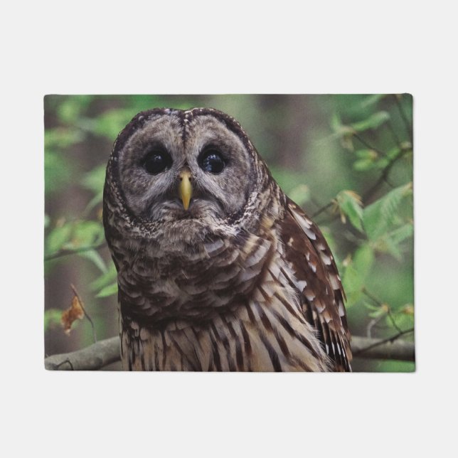 Barred Owl Fußmatte (Vorderseite)