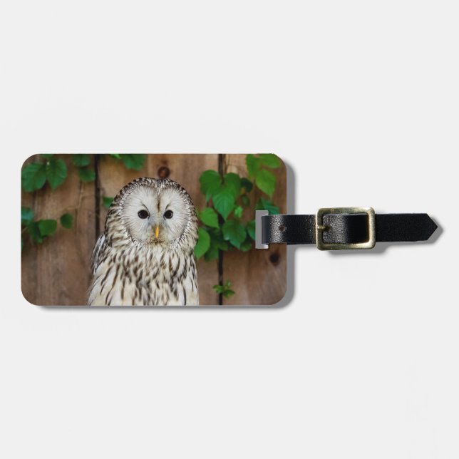 Barred Owl Gepäckanhänger (Vorderseite horizontal)