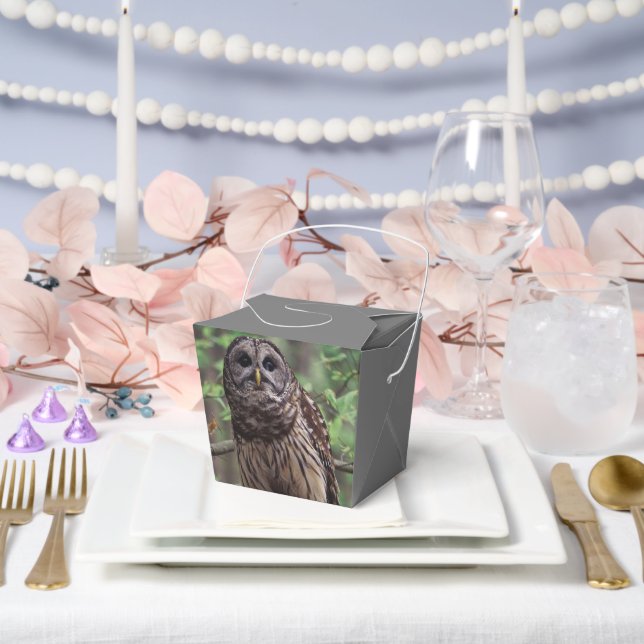 Barred Owl Geschenkschachtel (Hochzeit)