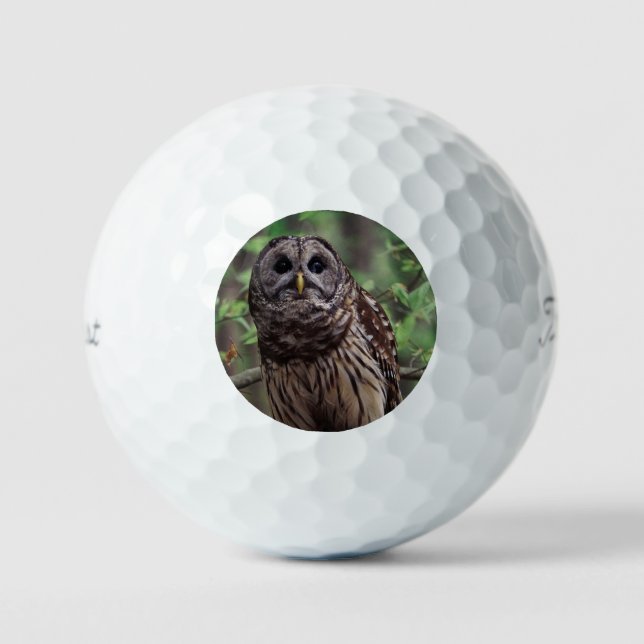 Barred Owl Golfball (Vorderseite)