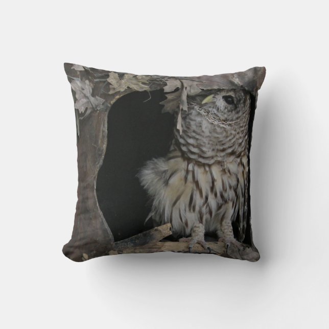 Barred Owl - Hier sieht man dich an! Kissen (Vorderseite)