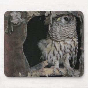 Barred Owl - Hier sieht man dich an! Mousepad