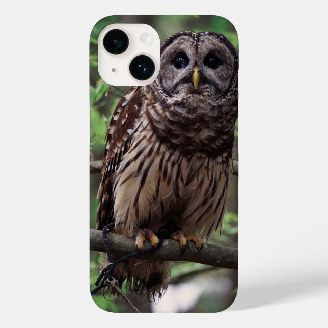 Barred Owl iPhone 14 Hülle (Rückseite)