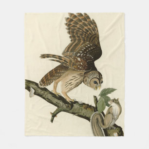 Barred Owl, John James Audubons Vögel von Amerika Fleecedecke