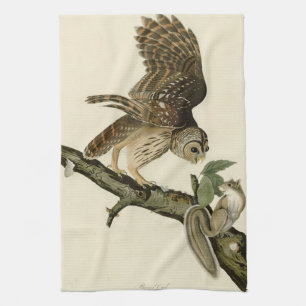 Barred Owl, John James Audubons Vögel von Amerika Geschirrtuch