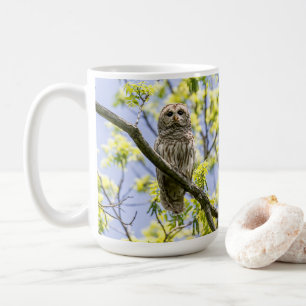 Barred Owl Kaffeetasse