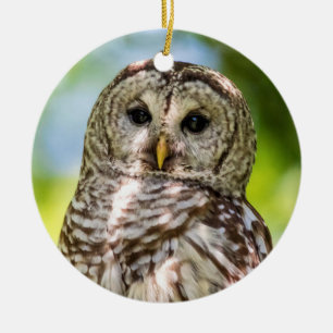 Barred Owl Keramik Ornament