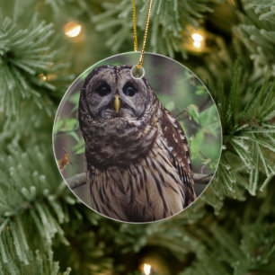 Barred Owl Keramik Ornament