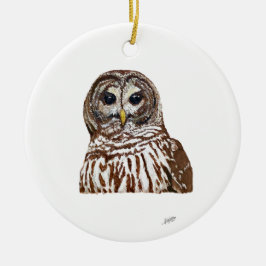 Barred Owl Keramik Ornament