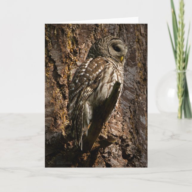Barred Owl Maman Carte de remerciements (Devant)