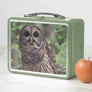 Barred Owl Metall Brotdose