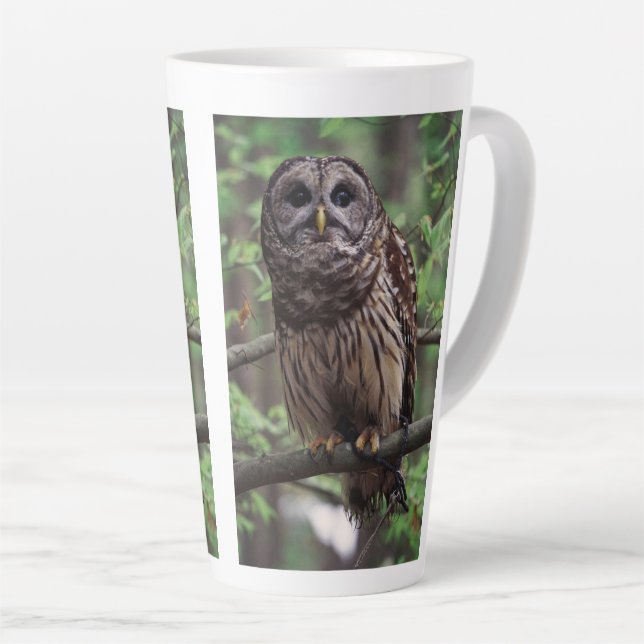 Barred Owl Milchtasse (Rechte Ecke)