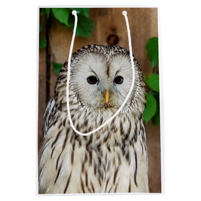 Barred Owl Mittlere Geschenktüte (Vorderseite)