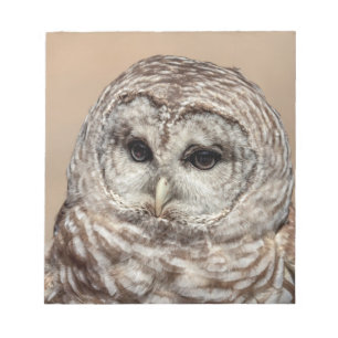 Barred Owl Notizblock