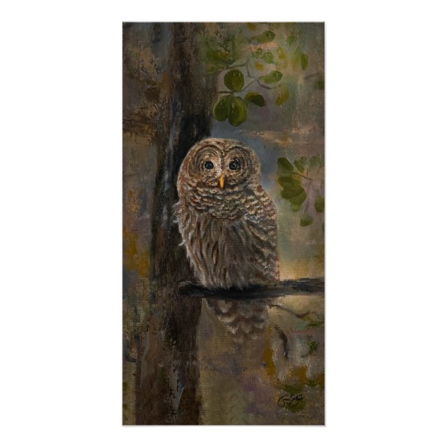 Barred Owl Painting 14 x 28 Poster (Vorderseite)
