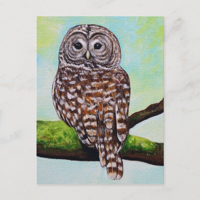 Barred Owl Painting Postkarte (Vorderseite)