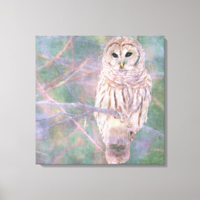Barred Owl Pastelllackierung Leinwanddruck (Vorderseite)