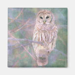 Barred Owl Pastelllackierung Magnet